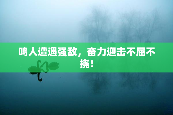 鸣人遭遇强敌，奋力迎击不屈不挠！