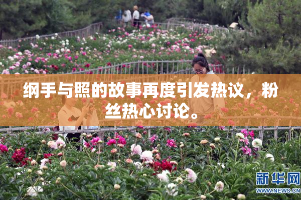 纲手与照的故事再度引发热议，粉丝热心讨论。