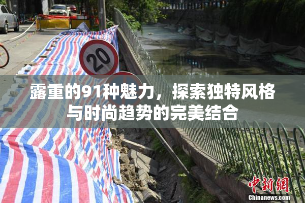 露重的91种魅力，探索独特风格与时尚趋势的完美结合