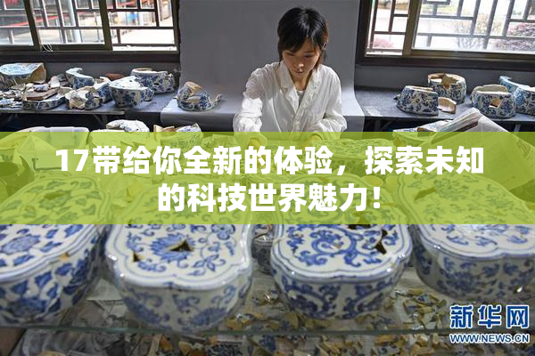 17带给你全新的体验，探索未知的科技世界魅力！