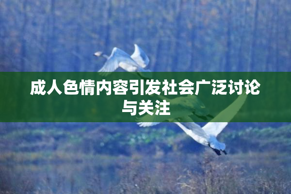 成人色情内容引发社会广泛讨论与关注