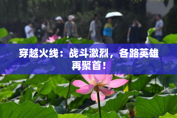 穿越火线：战斗激烈，各路英雄再聚首！
