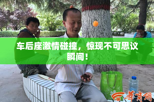 车后座激情碰撞，惊现不可思议瞬间！