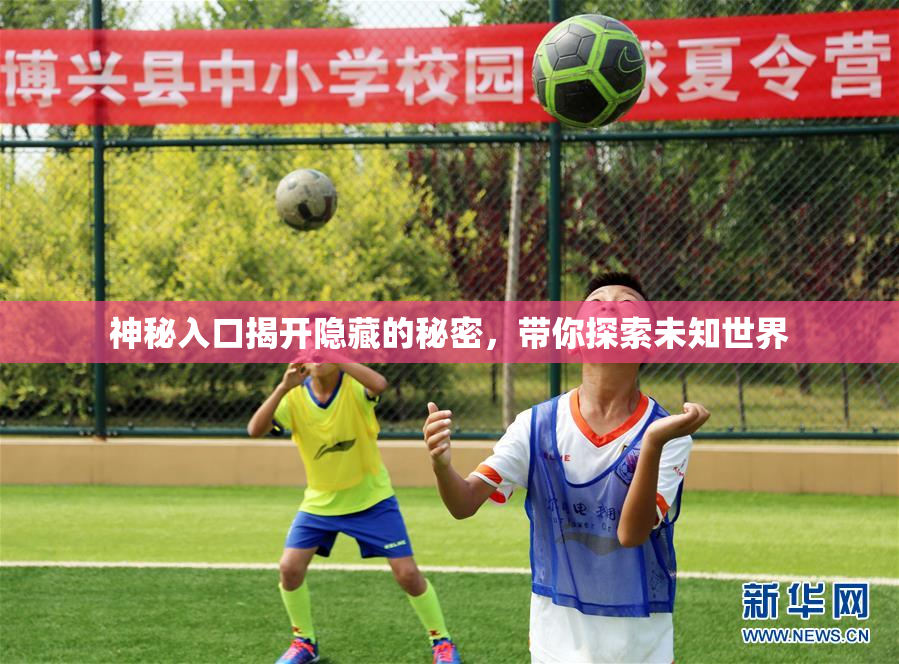 神秘入口揭开隐藏的秘密，带你探索未知世界