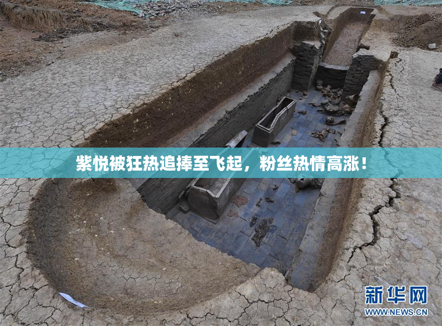 紫悦被狂热追捧至飞起，粉丝热情高涨！