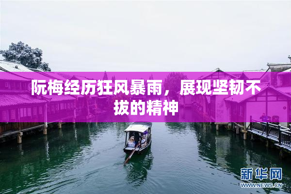 阮梅经历狂风暴雨，展现坚韧不拔的精神