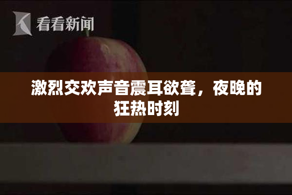 激烈交欢声音震耳欲聋，夜晚的狂热时刻