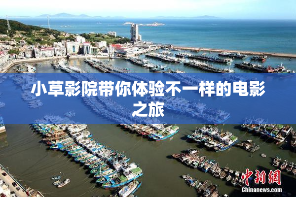 小草影院带你体验不一样的电影之旅