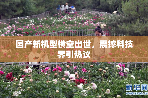国产新机型横空出世，震撼科技界引热议