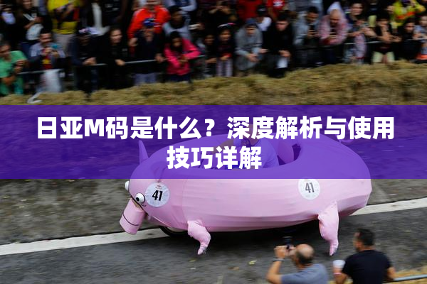 日亚M码是什么？深度解析与使用技巧详解