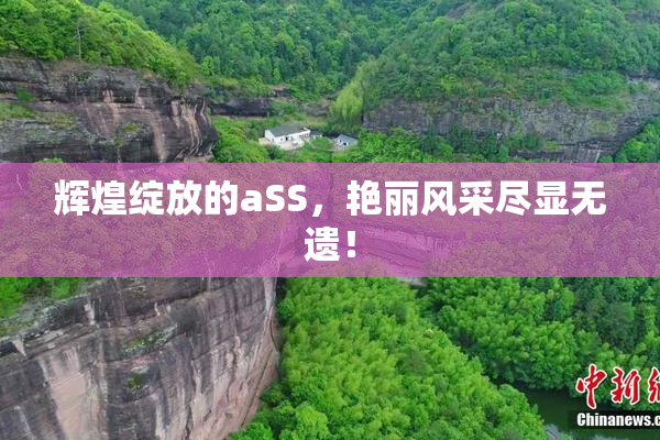 辉煌绽放的aSS，艳丽风采尽显无遗！