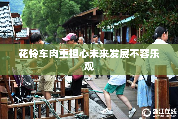 花怜车肉重担心未来发展不容乐观