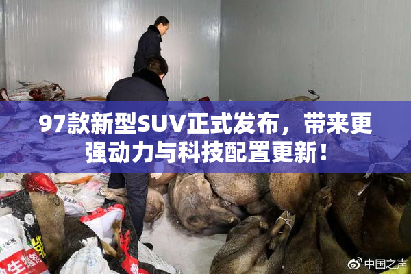 97款新型SUV正式发布，带来更强动力与科技配置更新！
