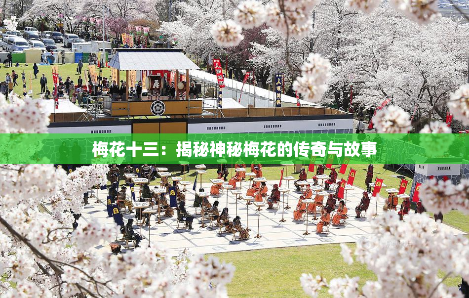 梅花十三：揭秘神秘梅花的传奇与故事