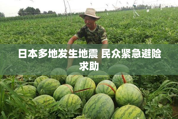 日本多地发生地震 民众紧急避险求助