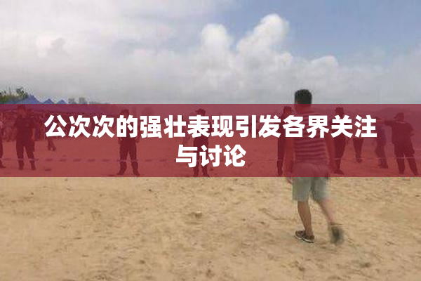 公次次的强壮表现引发各界关注与讨论