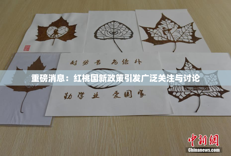 重磅消息：红桃国新政策引发广泛关注与讨论