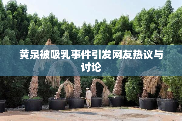 黄泉被吸乳事件引发网友热议与讨论