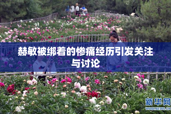 赫敏被绑着的惨痛经历引发关注与讨论