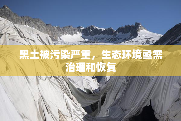 黑土被污染严重，生态环境亟需治理和恢复
