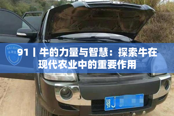 91丨牛的力量与智慧：探索牛在现代农业中的重要作用