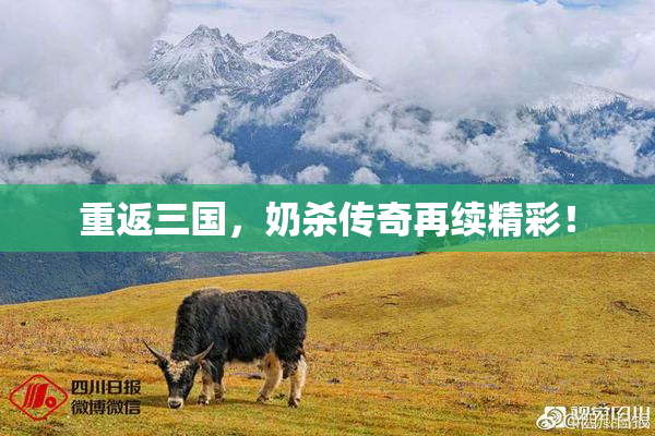 重返三国，奶杀传奇再续精彩！