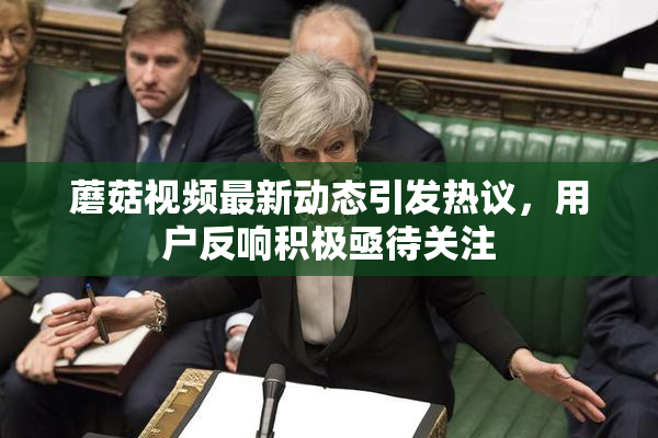 蘑菇视频最新动态引发热议，用户反响积极亟待关注