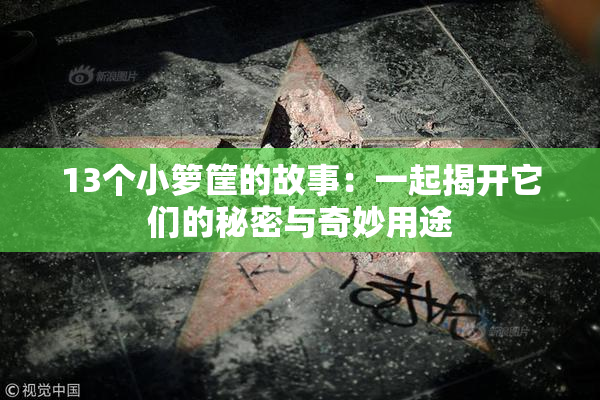 13个小箩筐的故事：一起揭开它们的秘密与奇妙用途