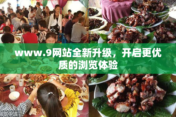 www.9网站全新升级，开启更优质的浏览体验
