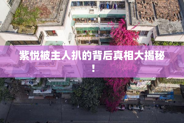 紫悦被主人扒的背后真相大揭秘！