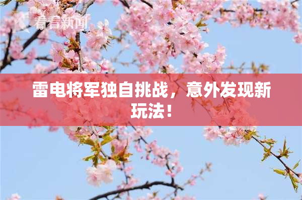 雷电将军独自挑战，意外发现新玩法！