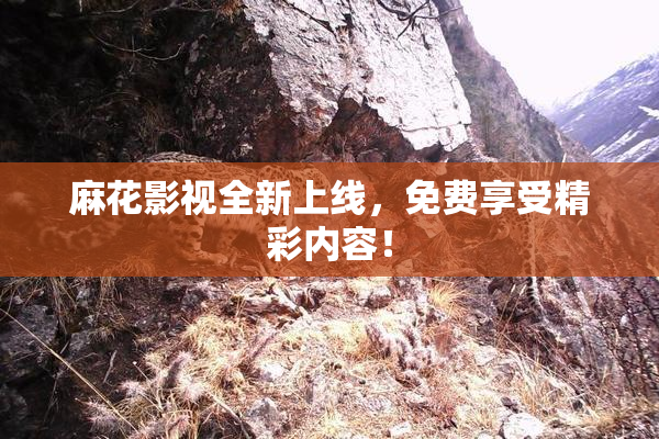 麻花影视全新上线，免费享受精彩内容！
