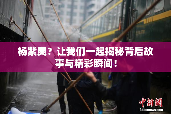 杨紫爽？让我们一起揭秘背后故事与精彩瞬间！