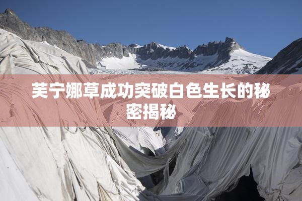 芙宁娜草成功突破白色生长的秘密揭秘