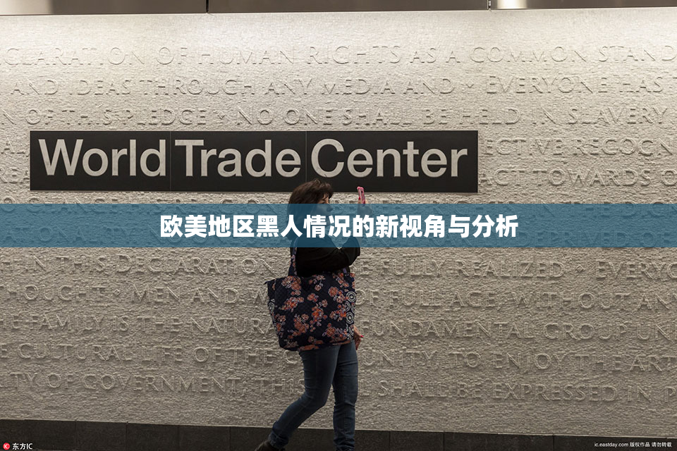 欧美地区黑人情况的新视角与分析