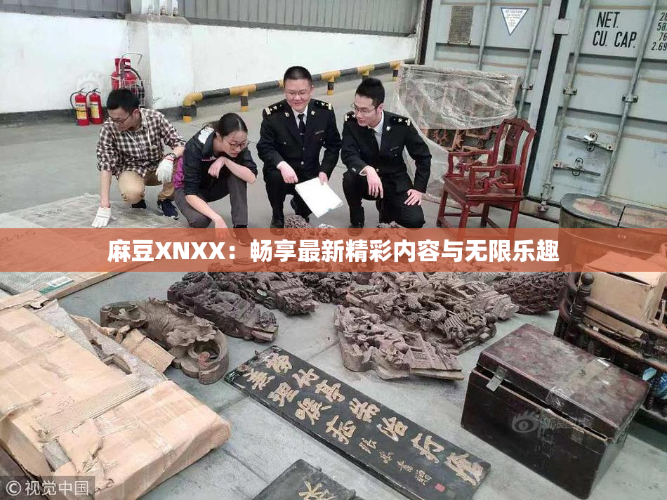 麻豆XNXX：畅享最新精彩内容与无限乐趣