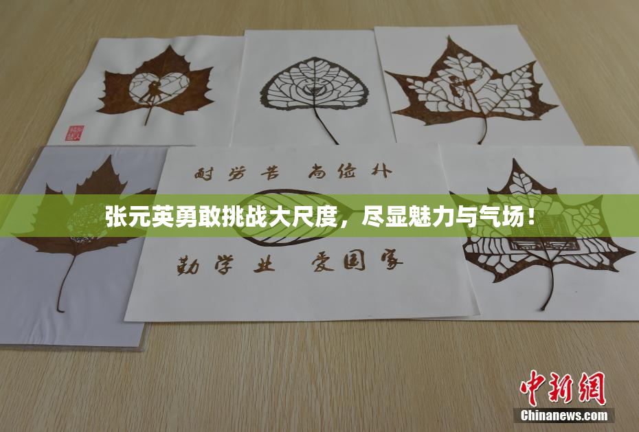 张元英勇敢挑战大尺度，尽显魅力与气场！