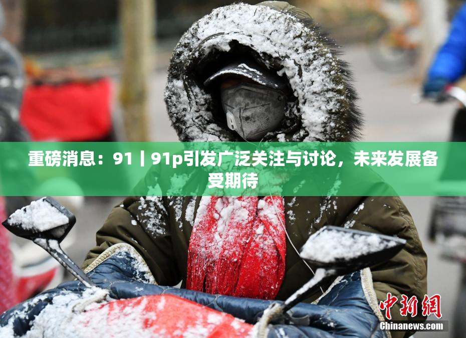 重磅消息：91丨91p引发广泛关注与讨论，未来发展备受期待