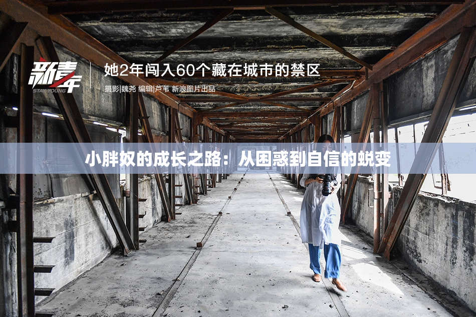 小胖奴的成长之路：从困惑到自信的蜕变
