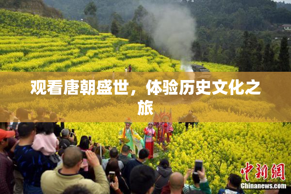 观看唐朝盛世，体验历史文化之旅