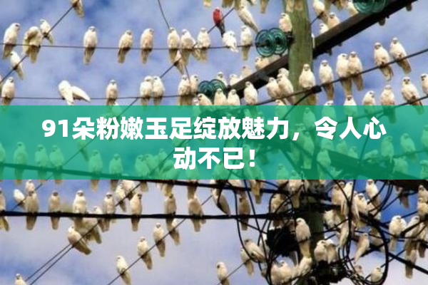 91朵粉嫩玉足绽放魅力，令人心动不已！