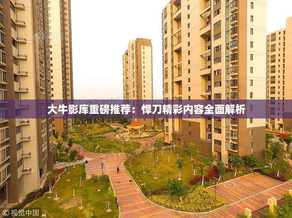 大牛影库重磅推荐：悍刀精彩内容全面解析