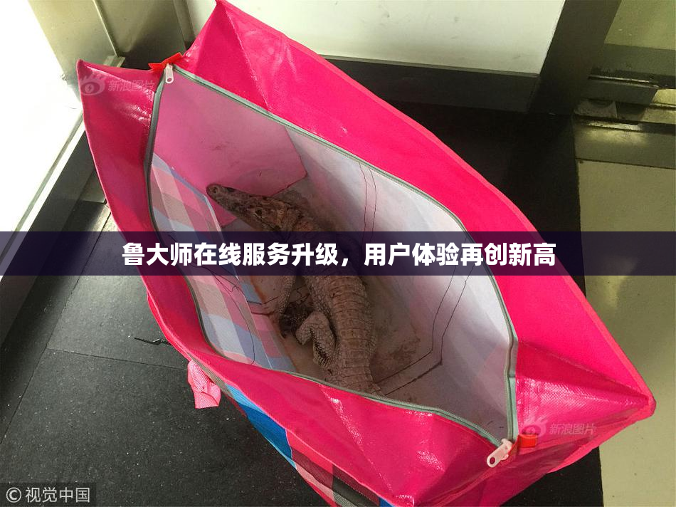 鲁大师在线服务升级，用户体验再创新高