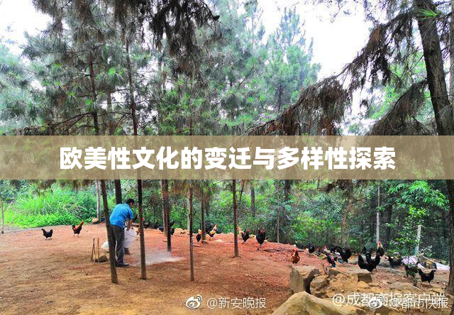 欧美性文化的变迁与多样性探索