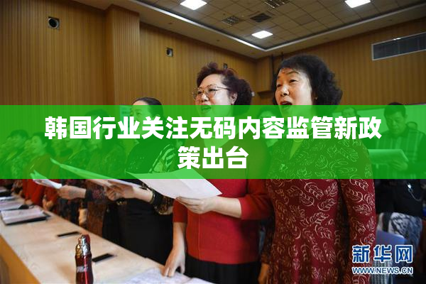 韩国行业关注无码内容监管新政策出台