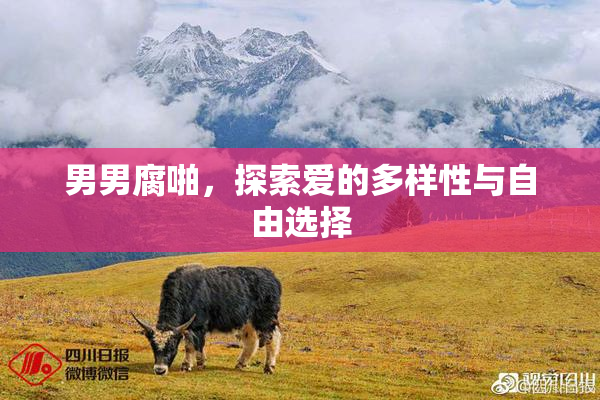 男男腐啪，探索爱的多样性与自由选择