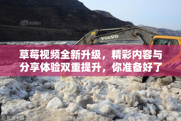 草莓视频全新升级，精彩内容与分享体验双重提升，你准备好了吗？