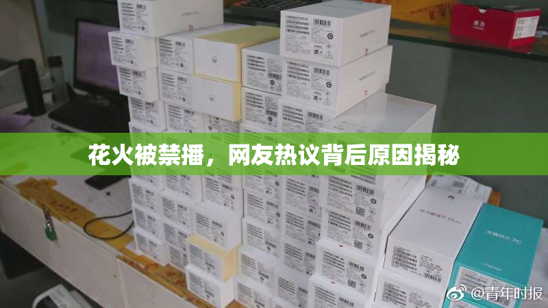花火被禁播，网友热议背后原因揭秘