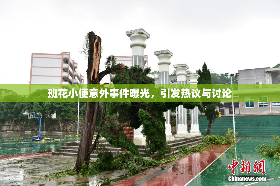 班花小便意外事件曝光，引发热议与讨论