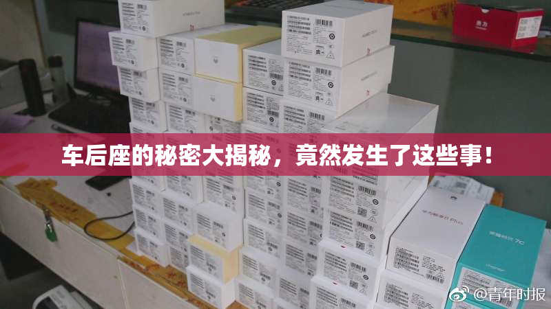 车后座的秘密大揭秘，竟然发生了这些事！